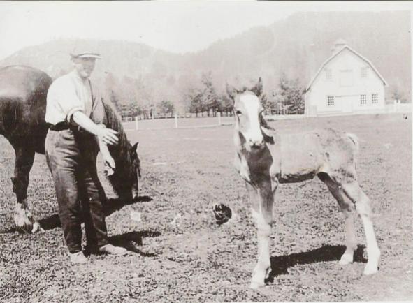 William Chrystall with mare and foal at Agassiz Research station.
