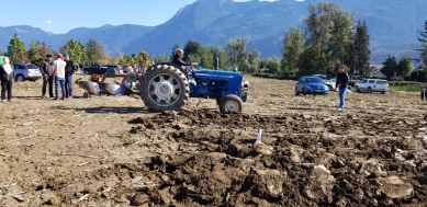 chilliwack plowing match 078